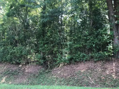 Residential Lot in Heatherwood