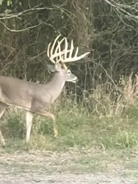 High-Fenced Hunting & Recreation Ranch