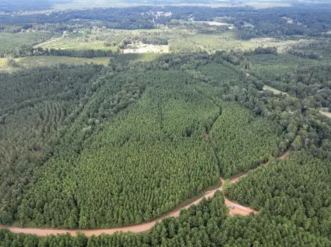 Natchitoches Heavily Wooded Land