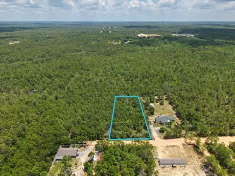 Expansive Residential Land in DeFuniak
