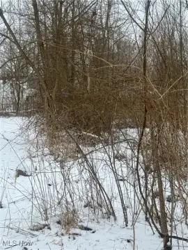 Land For Sale, Warren, OH