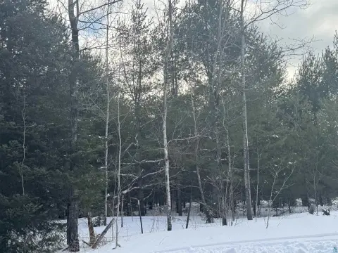 Residential Land Near Horseshoe Lake