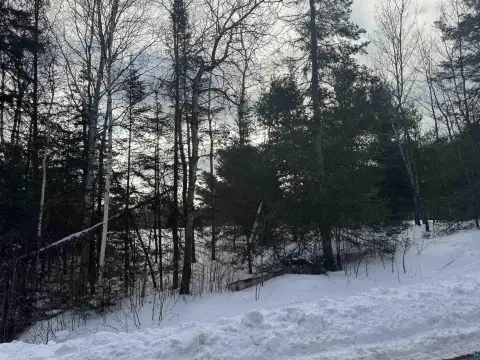 9-Acre Parcel Near Horseshoe Lake