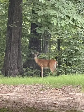 Prime Commercial Land I-40 Interchange