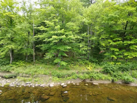 Waterfront Land with River Access