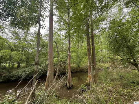 Unrestricted Hunting and Recreation Land