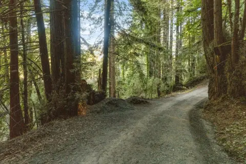 Enchanting Redwood Lot in Soquel