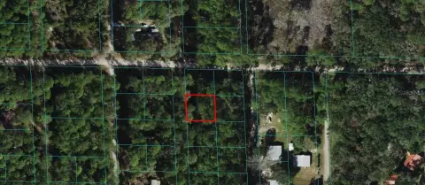 Citra, FL Land For Sale