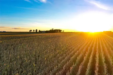 Row-Crop Farmland