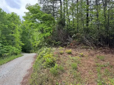 Land in Bryson City, NC