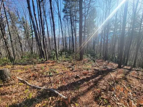 Waynesville Land with Mountain Views