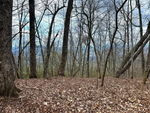 Ridge-Top Homesite in Gated Community