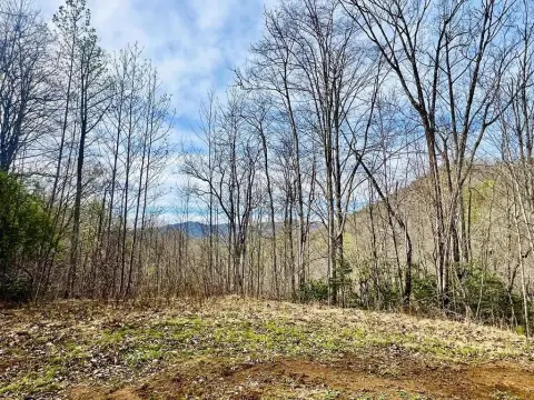 Franklin, NC Homesite in Community