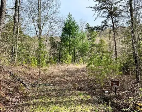 Wooded Lot in Gated Community
