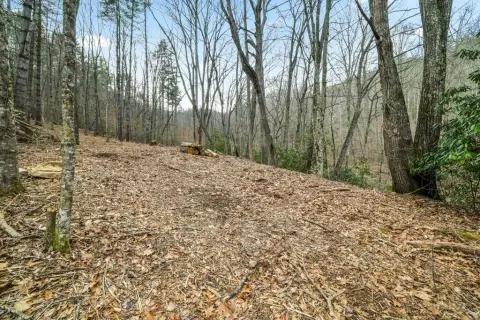 Ready-to-Build Mountain Lots