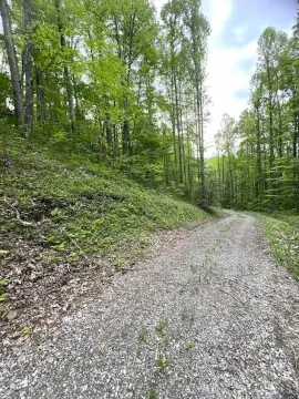 Land Near National Forest