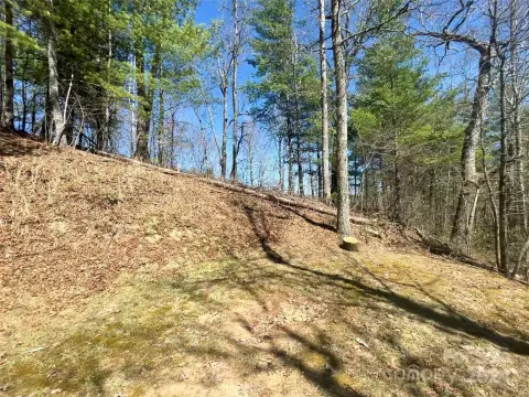 Residential Homesite with Building Pad