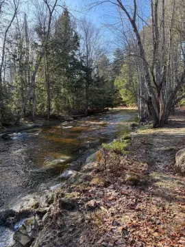 Riverfront Build Site with Septic Plan