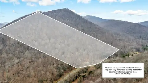 Unrestricted Wooded Acres in Todd