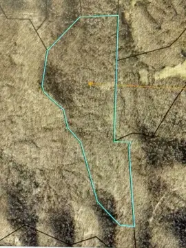 Secluded Hunting and Recreational Land