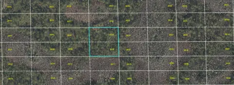 Spacious Land Parcel in Orlando