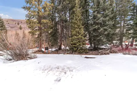 Buildable Mountain Land with Water Share