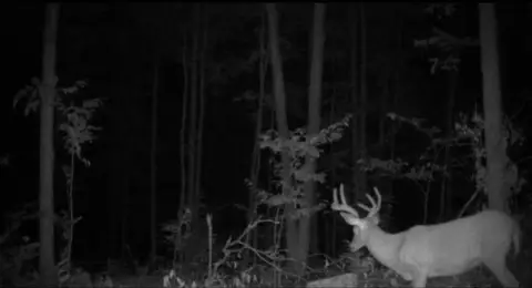 Recreational Hunting Land