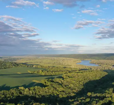 208 Acres in Driftless Region