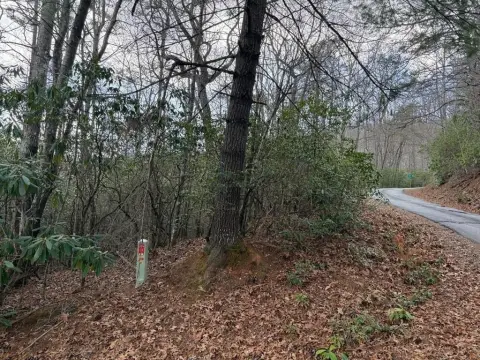 Unrestricted Mountain Land in Franklin, NC