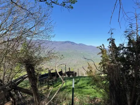 Sylva, NC Mountain Land
