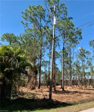 Bonita Springs Land Opportunity