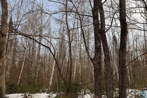 Wooded Acreage Near Brule River