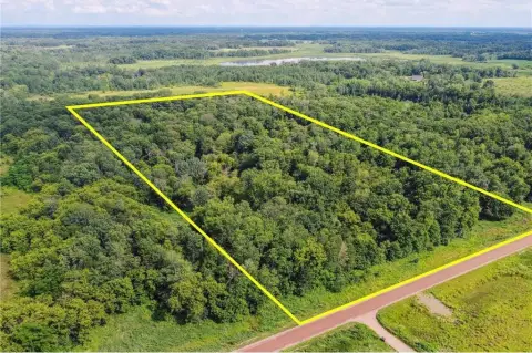 Expansive Wooded Lot Opportunity
