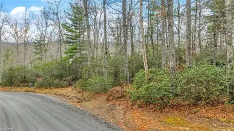 West Jefferson Wooded Lot