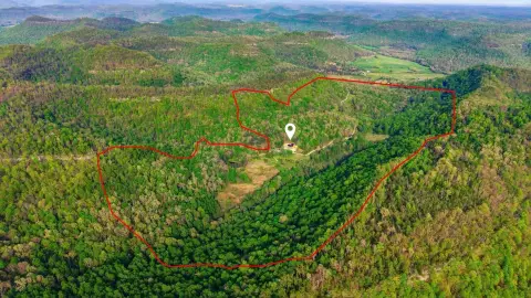 Kentucky Farm & Retreat Estate