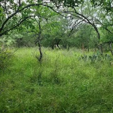 Granite Shoals Land Opportunity