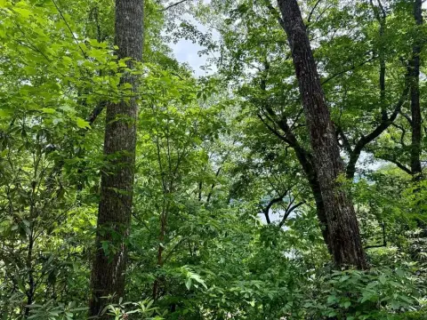 Lake Glenville Access Homesite