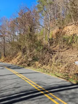 Unrestricted Wooded Land in Cullowhee