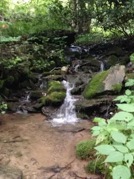 Land with Cascading Streams