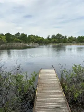 Texas Ranch Land Opportunity