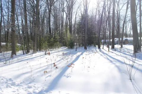 Residential Lot in Prudenville, MI