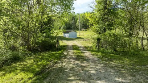 Land with Woodland and Privacy