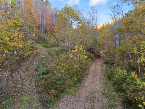 33 Acres of Mountain Land