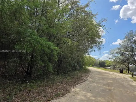 Residential Vacant Lot Opportunity