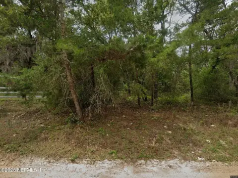 Residential Lot in Satsuma, FL