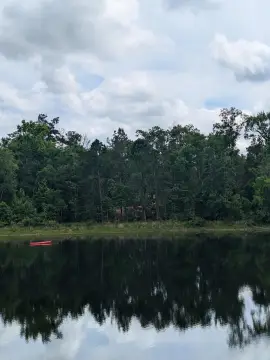 Cleared Lakefront Residential Lot