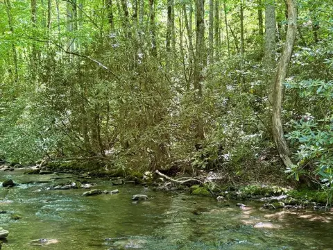 Creekfront Lot in Bryson City