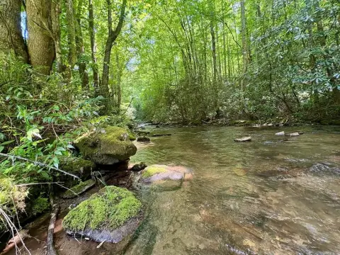 Creekfront Land Near Bryson City