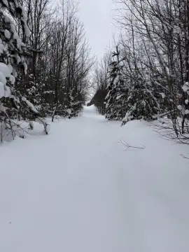 Kalkaska Land for Recreation/Building