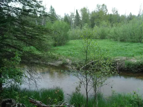 Pigeon River Recreational Land